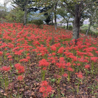 みやぎ仙南エリアの９月の観光イベント情報