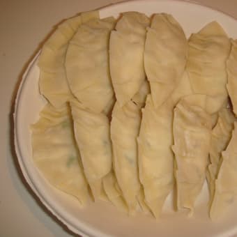 ◎豆腐で肉無し餃子を作ってみた