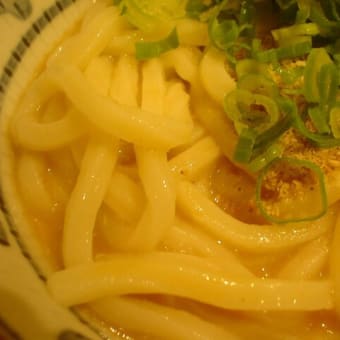 昨今のランチ事情