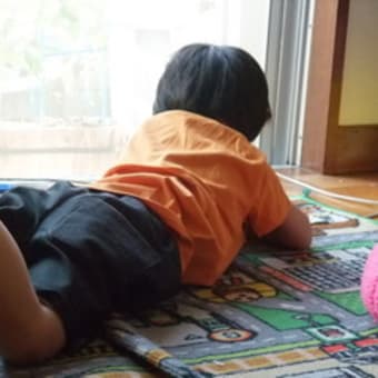 男の子のショートパンツ