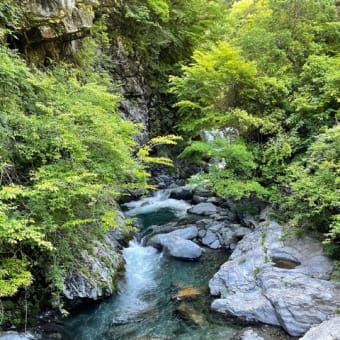 仙人の釣り方【九州脊梁山地ヤマメ幻釣譚＜25ー12＞】