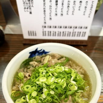 手打うどん たぐち＠鴨方「肉うどん」