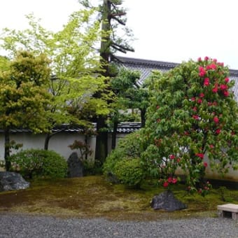 2011年4月23日(土)　大心院（妙心寺）