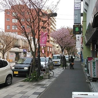 花見に最適の心だ～