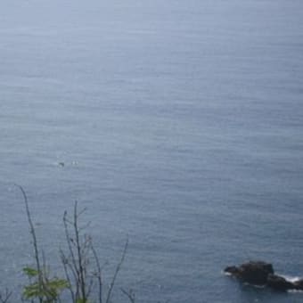 2010年3月 硫黄島　慰霊墓参訪問（２）　擂鉢山からの鯨