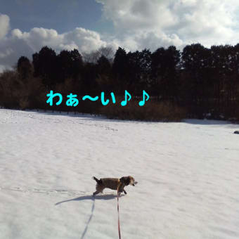 雪遊び～♪足アート☆ワ-(ノ。・ω・)八(。・ω・。)八(・ω・。)ノ-ィ!!!！