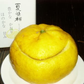 お土産三昧