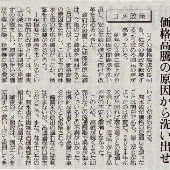 「価格高騰の原因から洗い出せ」という新聞記事
