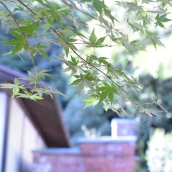 三渓園