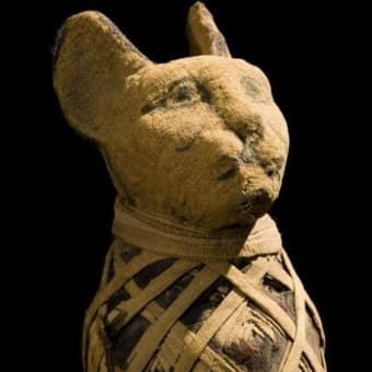 ネコの知られざる世界（１）―歴史に翻弄されたネコ―