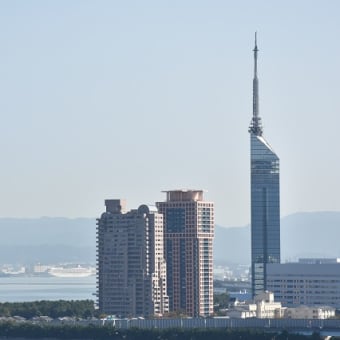 博多港にバラバラですが、客船が３隻入り！！！