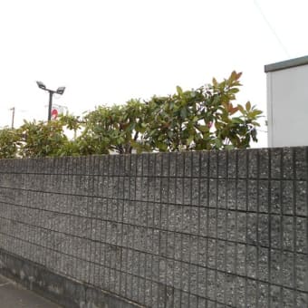 今日は頑張った・・・
