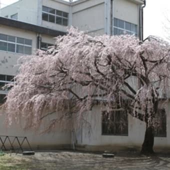 長男の門出