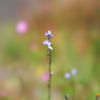 目には目を歯には歯を