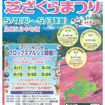 滝上芝ざくらまつり