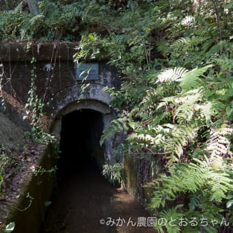 広島県東広島市・中の峠隧道