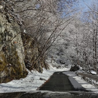 2024.2.24 雪景色の二子山