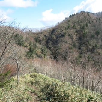 登山道整備！