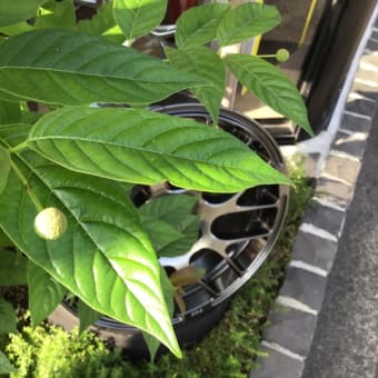 2024年6月19日