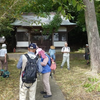 旧水戸街道を歩く　最終回　我孫子宿から馴柴へ