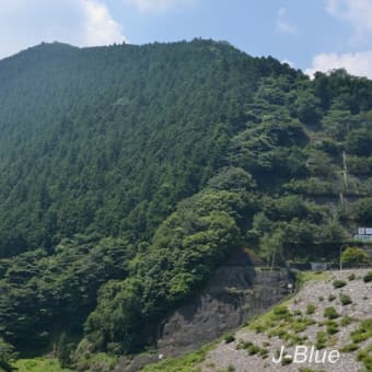 奥武蔵（埼玉県）「棒ノ嶺」を登る