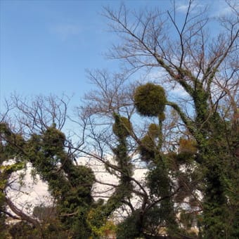 思い付きって、どこから来るの？