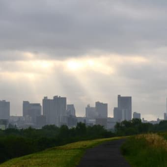 今日の目的は、時計草です