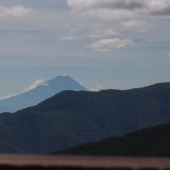 ヤナギランなど＠気温17℃の入笠山