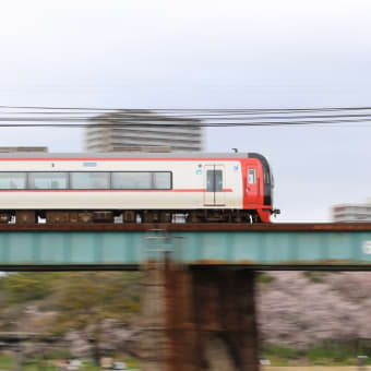 おかざき公園と名鉄電車