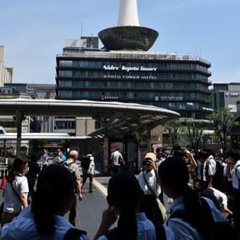 プチ関西旅行②　京都駅にて　JR東海　2025