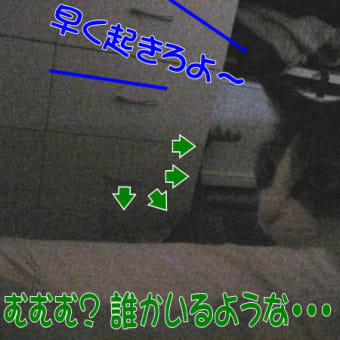 早朝から襲われる！