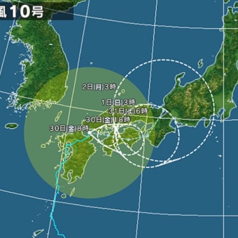 嵐の美容皮膚科学会