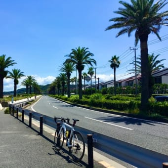 【 三浦半島1周 】　ライド2　126km
