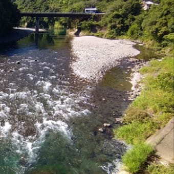 今日の那賀川上流