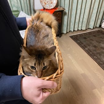 食パン？
