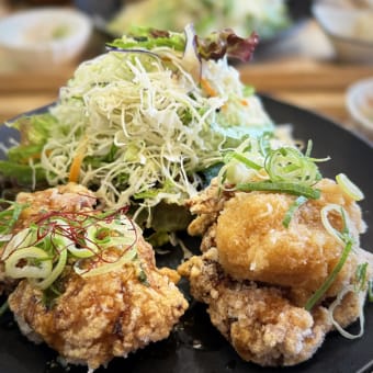 瀬戸内からあげ専科 日鶏ひとり＠福山市「半々定食」