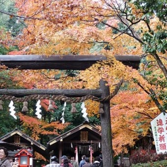 2011年12月3日(土)　野宮神社