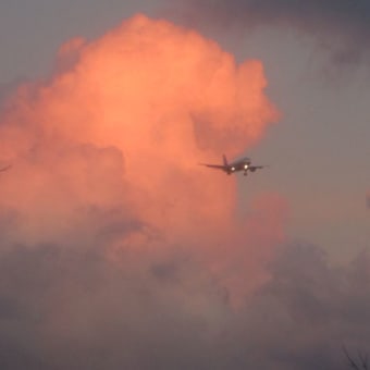 夕日のなかを着陸する飛行機
