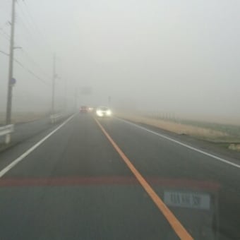 霧で