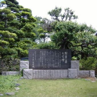 野菊の墓　～　じゅんさい池