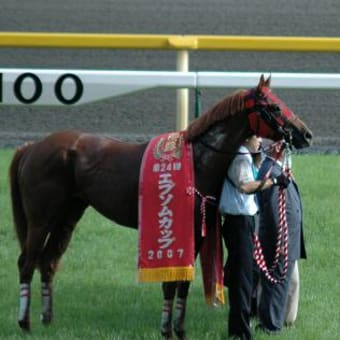 デピュティ祭りだ！ワッショイ♪