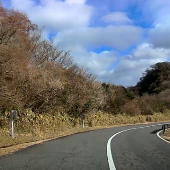 芦ノ湖スカイラインの眺望