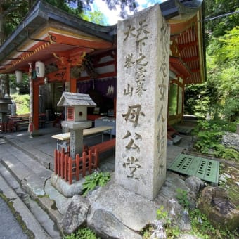 虫刺され後の穴が大きい　と稲村ケ岳へ