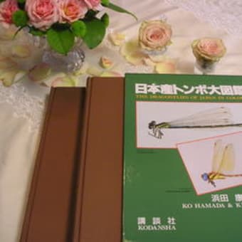 日本産トンボ大図鑑　5万円也