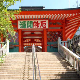 涼を求めて高尾山へ