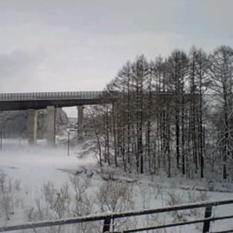 雪景色