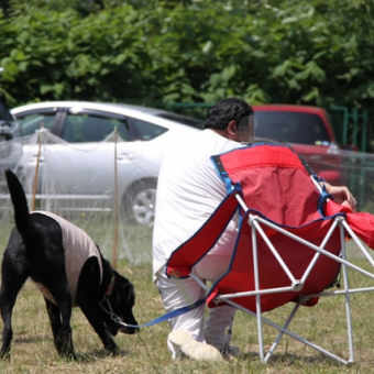 ＤＯＧＴＡＩＬワンワン運動会へ行ってきたよ