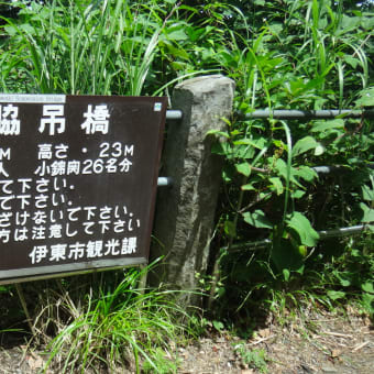 2016年7月22日　金曜日　城ケ崎海岸