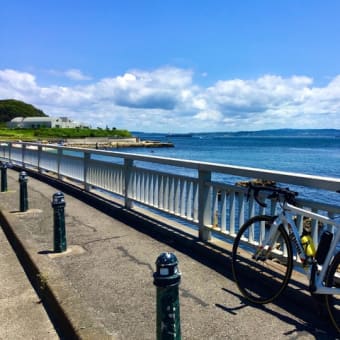 【 三浦半島1周 】　ライド2　126km
