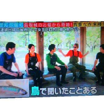 不定期だなぁ～